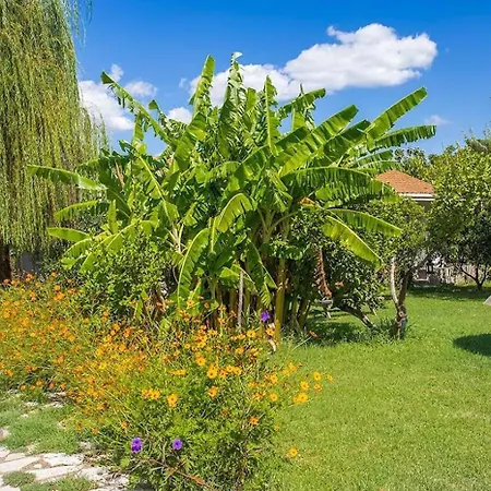 Apartment Stavlos Vasiliki (Lefkada)